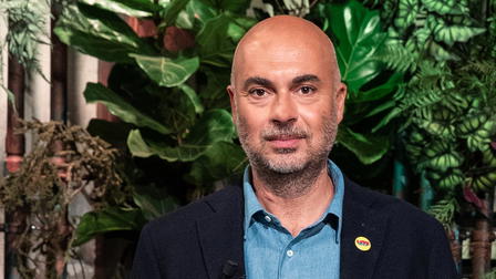 Alla scoperta del ramo d'oro