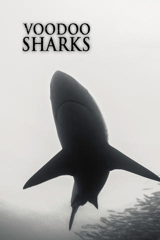 Voodoo Sharks