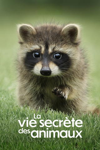 La vie secrète des animaux
