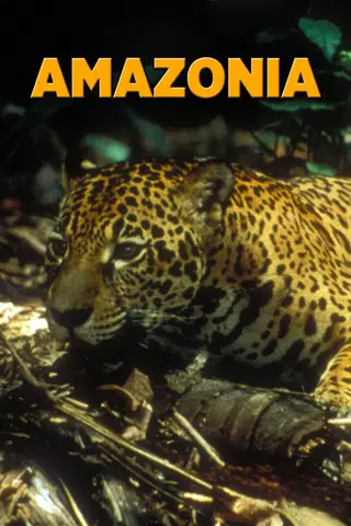 Amazonia