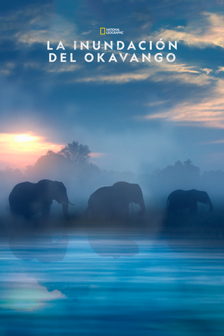 La inundación del Okavango