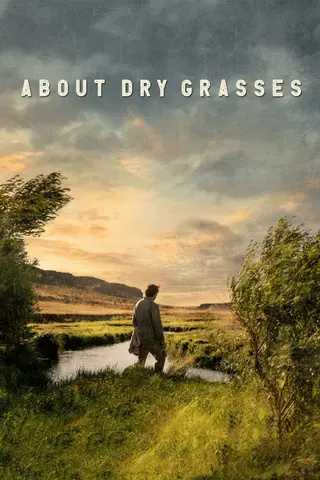 About Dry Grasses