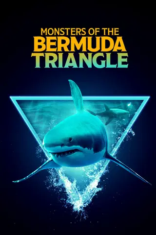 Monsters of the Bermuda Triangle