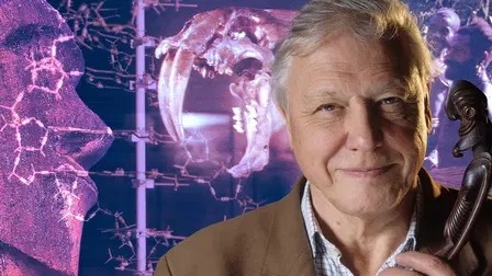 Attenborough's Passion Projects