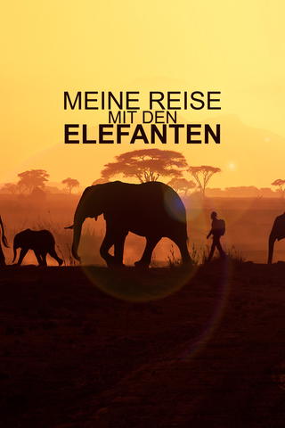 Meine Reise mit den Elefanten