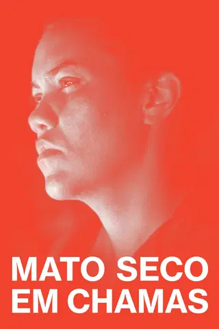 Mato Seco Em Chamas