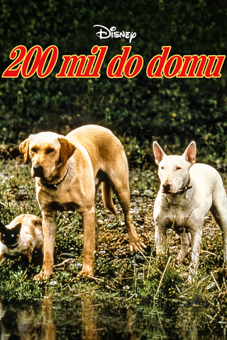 200 mil do domu