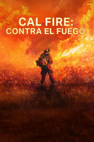 Califórnia em Chamas