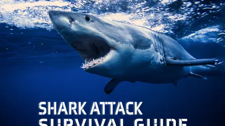 Shark Attack Survival Guide