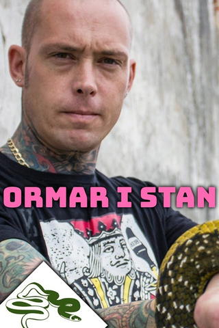 Ormar i stan