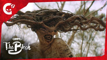 The Birch