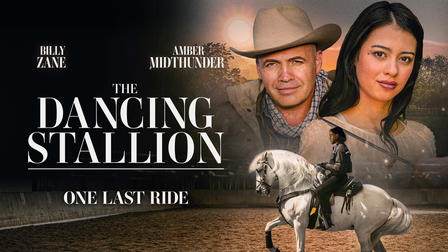 The Dancing Stallion