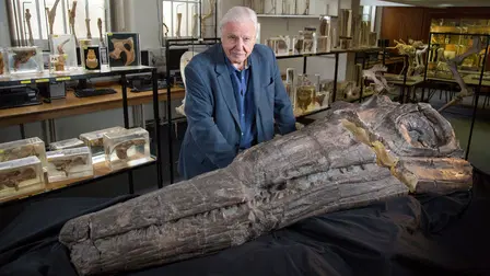 Attenborough ja merilohikäärme