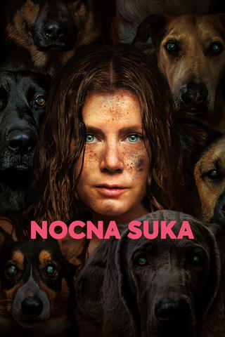 Nocna suka