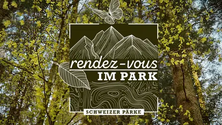 Rendez-vous im Park