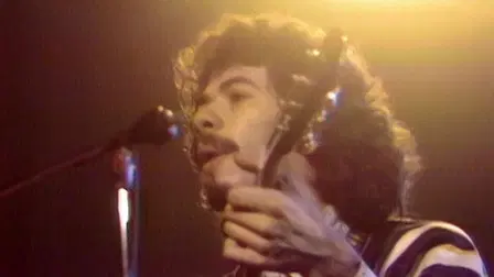 San Francisco Rock: A Night at the Family Dog