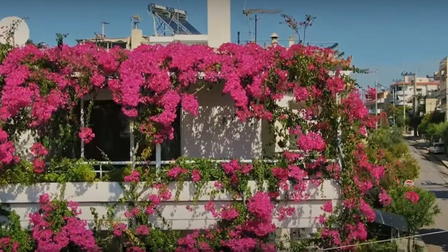 Alimos: Greek Riviera's Blue Diamond