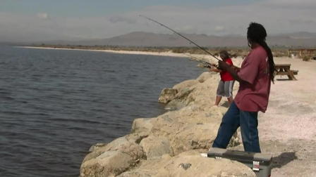 The Salton Sea: A Desert Saga