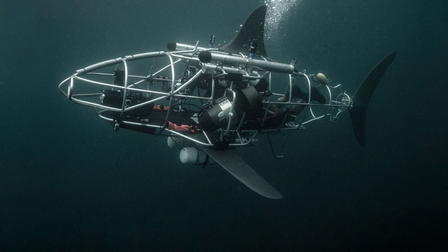 Mechashark - Auf Tauchfahrt im mobilen Haikäfig