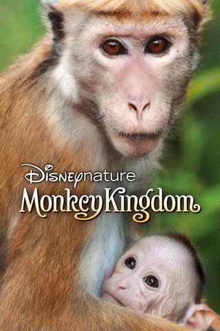 Disneynature Monkey Kingdom