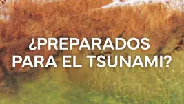 ¿Preparados para el Tsunami?