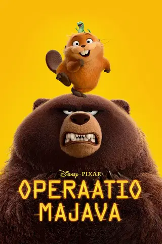 Operaatio Majava