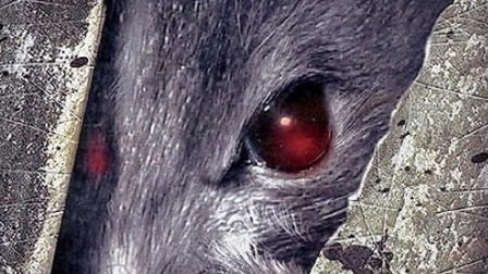 Scratch: The New Sound of Terror