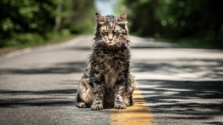 Pet Sematary