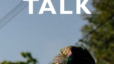 Small Talk