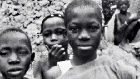 Afrique 50