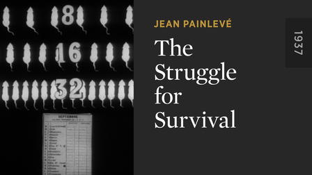 Images mathématiques de la lutte pour la vie