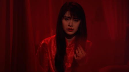 The Reincarnation of Golden Lotus