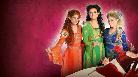 Doornroosje, De Musical