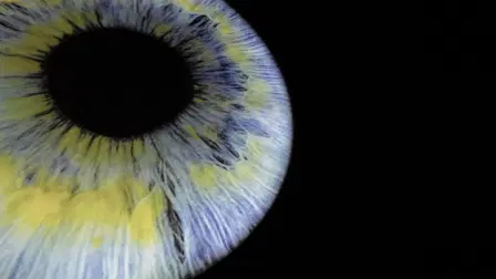 Blind Vision