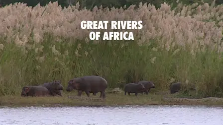 Great Rivers of Africa