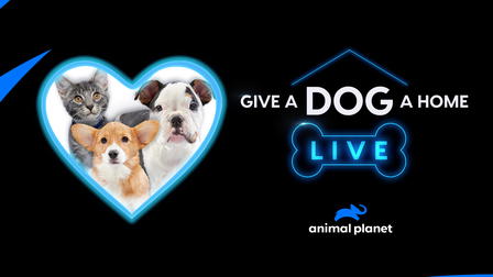 Give a Dog a Home Live!