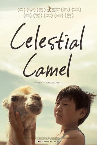 Celestial Camel