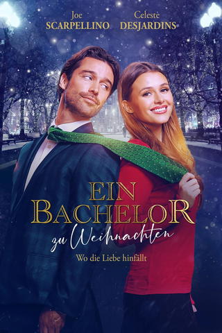 Ein Bachelor zu Weihnachten