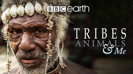 Tribes Animals & Me