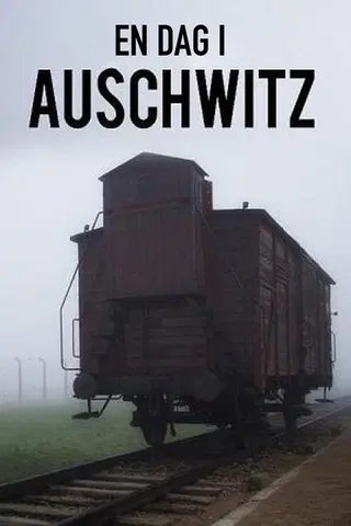 En dag i Auschwitz