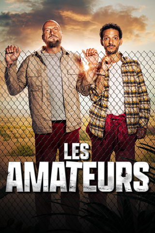 Les Amateurs