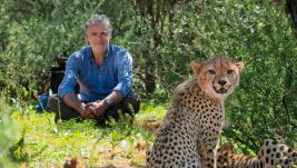 Cheetah Family & Me
