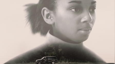 The Disappearance of Phoenix Coldon