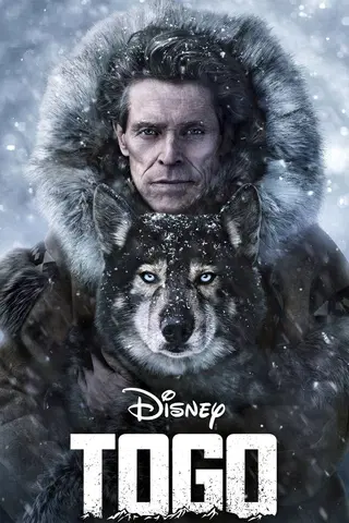 Togo: Der Schlittenhund