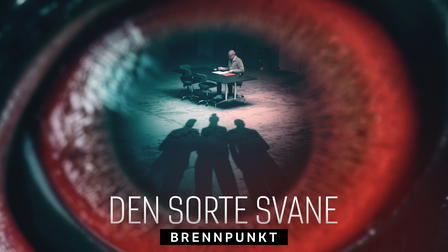Brennpunkt: Den sorte svane
