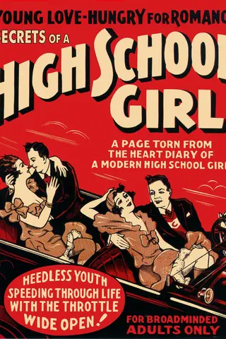 Secrets of a High School Girl