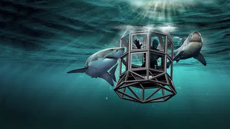 Shark House
