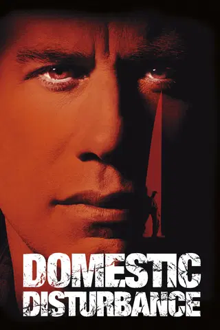 Domestic Disturbance