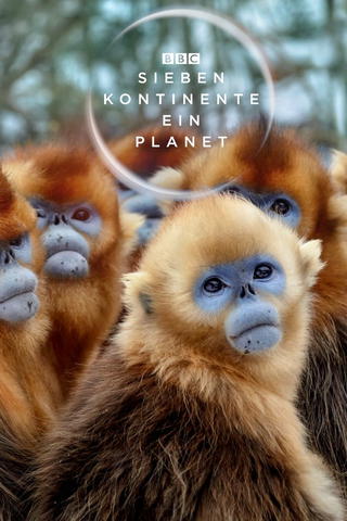 Sieben Kontinente - Ein Planet