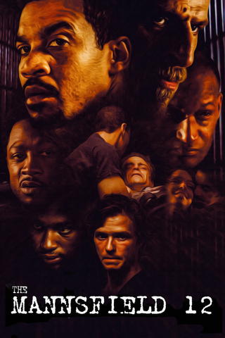 The Mannsfield 12